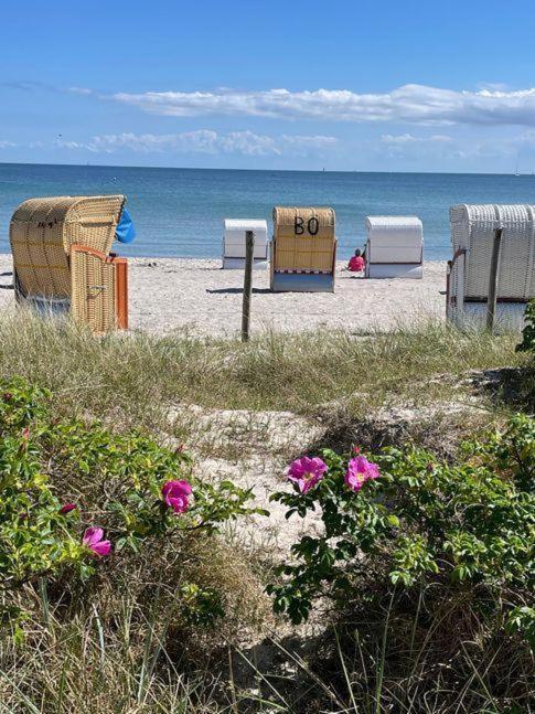 Fewo-Mit-Terasse-U-Garten-Am-Golfplatz Wulfen auf Fehmarn Esterno foto