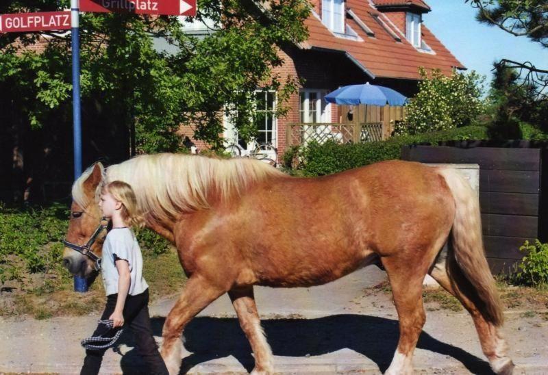 Fewo-Mit-Terasse-U-Garten-Am-Golfplatz Wulfen auf Fehmarn Esterno foto